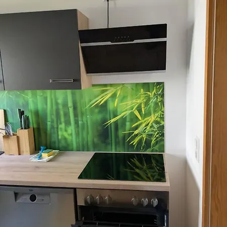 Appartement Mit Toller Aussicht Muhlheim an der Donau